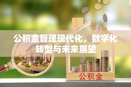 旗山公积金管理现代化，数字化转型与未来展望
