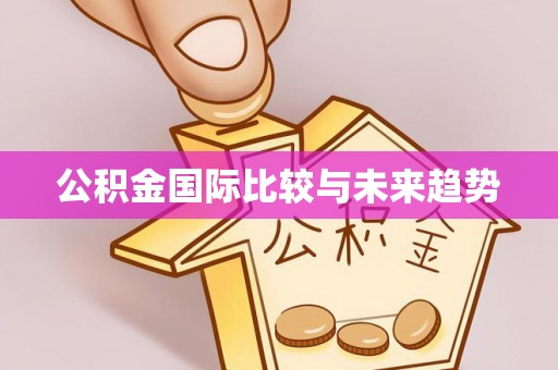 旗山公积金国际比较与未来趋势